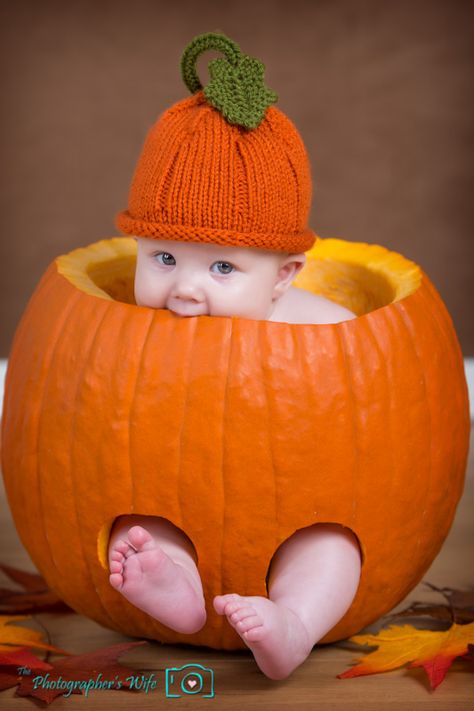 Pictures Of Babies, Fall Baby Photos, Fall Baby Pictures, Baby First Halloween, Halloween Photography, Baby Pic, Baby Shoot, Foto Baby, Holiday Baby