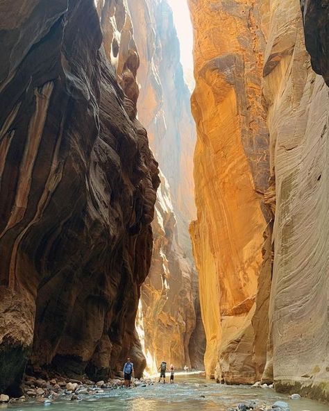 The Narrows Zion National Park, Narrows Zion National Park, The Narrows Zion, The Narrows, Zion Canyon, World Cruise, Best Vacation Spots, Travel Bucket List Usa, Utah Usa