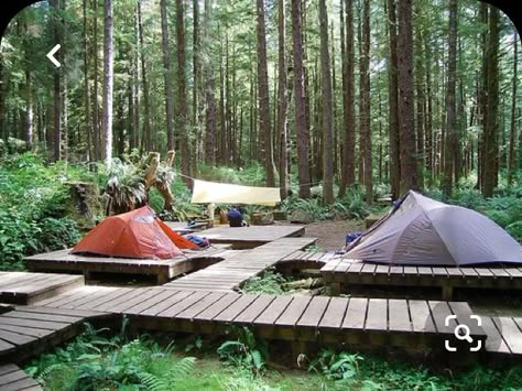 Tent Platform Camping, Camp Sites Ideas, Camping Design Ideas, Camp Ground Design, Camping Area Design, Camping Site Design, Camp Platform, Camping Site Ideas, Platform Tent