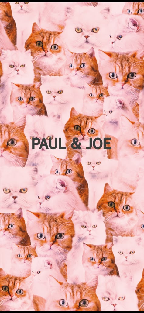 Paul And Joe, Paul & Joe, Pretty Wallpapers, Iphone Xr, T Shirt Design, Shirt Design, The End, Shirt Designs, Pajamas