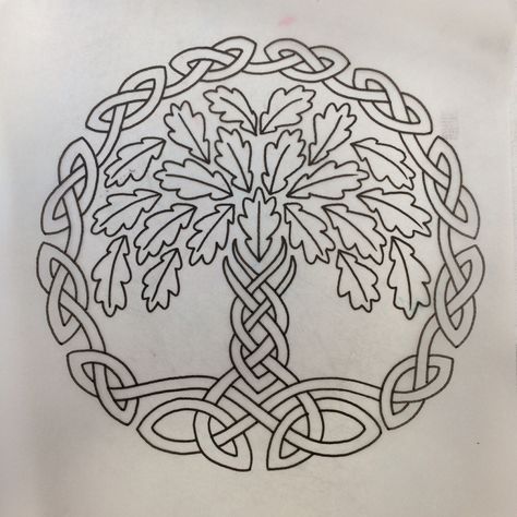 stencil of my new celtic Oak tree tattoo by Ben Harper @ The Golden Rose in San Francisco Knot Tattoo Design, Celtic Oak Tree, Pinecone Tattoo, Oak Leaf Tattoos, Celtic Tree Tattoos, Acorn Tattoo, Tiger Blood, Staff Ideas, Poppy Flower Tattoo