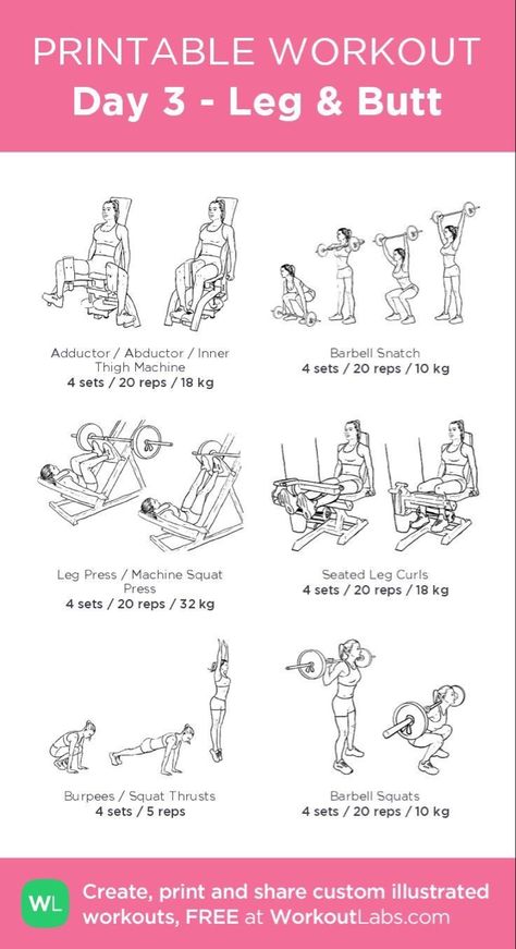 Exercise Plan Gym, Beginners Gym Workout Plan, Beginner Gym, Workout Female, Leg Workouts Gym, Gym Workout Plan, Workout Gym Routine, Workout Program Gym, Work Out Routines Gym