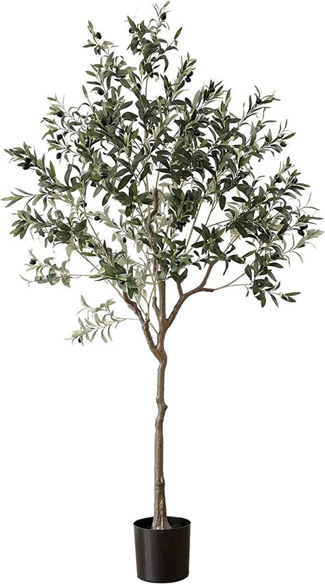 Amazon.com: Apeair Artificial Olive Tree, Tall 6.3Feet Fake Potted Olive Silk Tree with Planter, Large Faux House Plants Decoration for Home Garden Modern Office Decor Housewarming Indoor Outdoor (6.3ft) : Home & Kitchen Olive Tree Care, Large Fake Plants, Indoor Olive Tree, Tall Potted Plants, Growing Olive Trees, Tall Indoor Plants, Artificial Olive Tree, Olive Plant, Rustic Pots