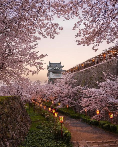 📸Photo of the day A moment captured that will never age #livinginjapan #japan #japantravel #japantravelguide #japantravelphoto #japantrip #japantraveller #travel #traveller #sightseeing #sightseeingjapan #beautifuljapan #beautiful #beauty #kyoto #kyotojapan #kyototrip #osaka #osakajapan #tokyo #tokyojapan #sakura #cherryblossoms Kyoto Japan Cherry Blossom, Japan Village, Japanese Countryside, Cherry Blossom Japan, Japan Sakura, Blossom Season, Japan Life, Japan Vacation, Living In Japan