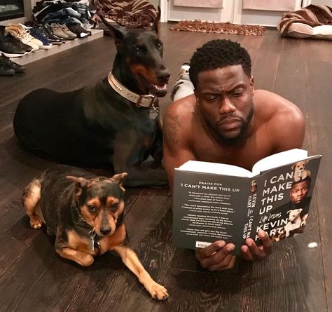 43.5k Likes, 331 Comments - Kevin Hart (@kevinhart4real) on Instagram: “My dogs love it when I read to them.......My book is in bookstores everywhere. Make sure you get…” Kevin Hart Reaction, Kevin Hart Meme, Kevin Hart Funny, Reaction Photos, My Honest Reaction, Honest Reaction, Famous Movie Quotes, Historical Quotes, Kevin Hart