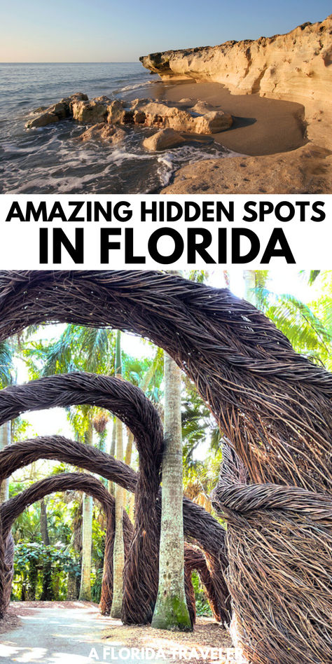 Want to visit some of the lesser known hidden gems in Florida? These amazing spots are sure to impress and are some of the best places to visit in Florida. Places To Go In Florida Bucket Lists, Florida Adventures Bucket Lists, Day Trips Florida, Wekiva Springs Florida, Free Things To Do In Florida, Florida Must See Places, Florida National Parks Road Trip, Best Places To Go In Florida, Things To Do In South Florida