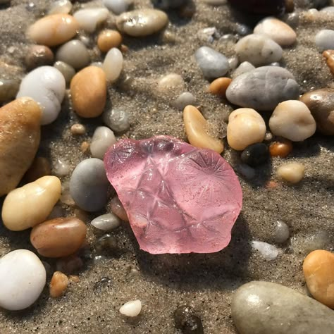 Beach Combing, Beach Glass, Summer 24, Pretty Pink, Sea Glass, Pretty Things, Sea Shells, The Ocean, The Sea