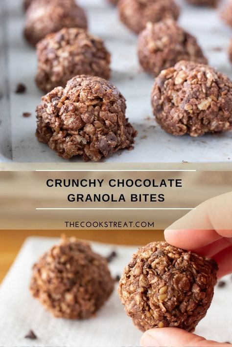 These crunchy chocolate granola bites are lightly sweetened with honey and filled with good things. They are the perfect way to satisfy a sweet tooth with something more nutritious than a cookie. #TheCooksTreat #CrunchyChocolateGranolaBites #GranolaBites Homemade Granola Bites, Mini Granola Bites, Baked Granola Bites, Healthy Granola Bites Recipe, Granola Bites For Kids, Granola Mini Balls, Trader Joes Granola, Diy Made Good Granola Bites, Granola Bites Recipe