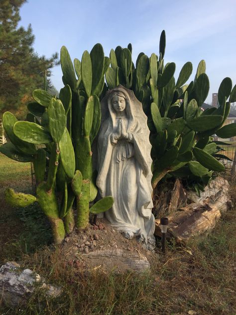 We had no idea this Cactus would grow so well perhaps Our Lady is helping 🙏🏻 Prayer Garden, Hacienda Style Homes, Mary Art, Virgin Mary Art, Mexican Culture Art, Catholic Decor, Mexico House, Brown Pride, Virgin Of Guadalupe