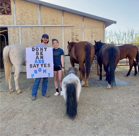 Country Prom Posals, Horse Promposal Ideas, Cowgirl Promposal, Horse Hoco Proposals, Country Promposal For Him, Rodeo Prom Proposal Ideas, Cow Promposal Ideas, Horse Promposal, Cow Hoco Proposal