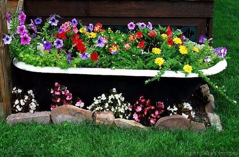 Old Bathtub Ideas Garden Outdoor Baths, Old Bathtub Ideas Garden, Old Bathtub Ideas, Bathtub Garden Ideas, Tub Garden Ideas, Outside Tub, Bathtub Flowers, Outdoor Bath Tub, Bathtub Garden