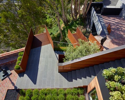 Telegraph Hill Residence - ACLA Stair Landscape, Residence Landscape Design, Andrea Cochran, Hillside Homes, Residence Landscape, Concrete Retaining Walls, Hillside Garden, Entry Stairs, Garden Stand