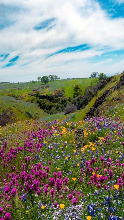 Rain Art, Summer Scenes, Spring Background, Pretty Landscapes, California Art, Colour Field, Aesthetic Photography Nature, Beautiful Places Nature, Landscape Pictures