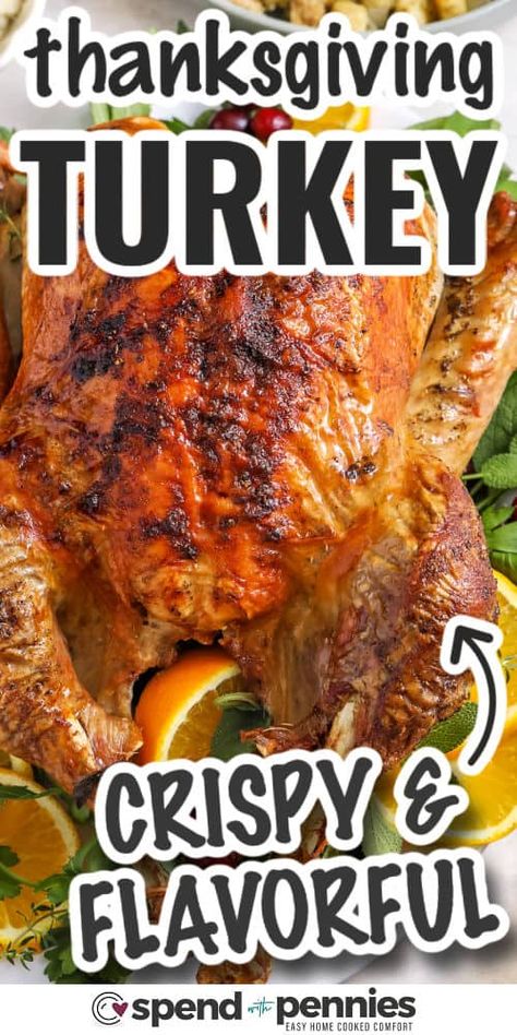 Thanksgiving Turkey Cooking Thanksgiving Turkey The Day Before, How To Bake A Whole Turkey In The Oven, Juicy Turkey With Crispy Skin, Roast Thanksgiving Turkey, Preparing A Turkey Thanksgiving, Thanksgiving Turkey For Beginners, Thanksgiving Day Turkey, Easy Way To Cook Turkey, Best Turkey For Thanksgiving