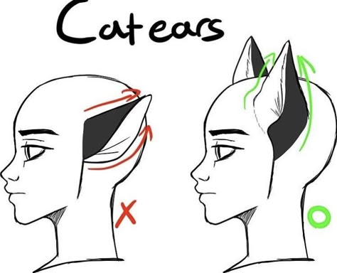 Animal Ears Drawing, Human With Animal, Ears Drawing, Draw Cat, Tips For Artists, Body Drawing Tutorial, Drawing Expressions, Wow Art, Fluffy Cat