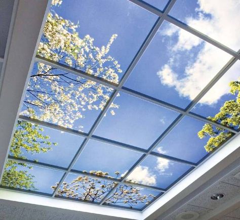 #virtualwindow #exteriorview #naturallight #daylighting #biophilia #biophilicdesign #virtualskylight #skylight Fake Skylight, Blue Sky Ceiling, Fake Window Light, Modern Skylights, Skylight Glass, Interior Design Blue, Sky Led, Vaulted Ceiling Lighting, Window Shades Blackout