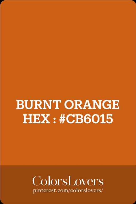 BURNT ORANGE Winter Colors 2023, Burnt Orange Color Palette, Orange Images, Orange Hex, Deep Autumn Palette, Fall Crafts Decorations, Orange Color Palettes, Colors 2023, Wardrobe Architect