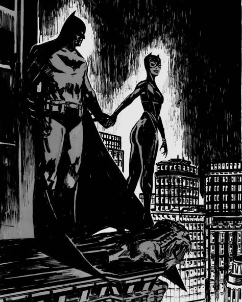 Batman X Catwoman, Bruce Selina, Bat And Cat, The Bat And The Cat, Bat And The Cat, Bruce And Selina, Batman Love, Catwoman Comic, Otto Schmidt