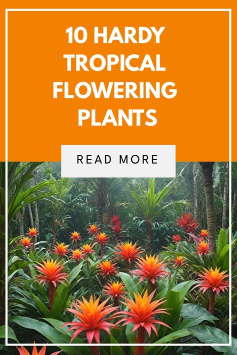 Succulent Tropical Garden, Colourful Tropical Plants, Hardy Tropical Landscaping, Frangipani Garden Design, Tropical Potted Plants Outdoor, Tropical Landscaping Plants, Pineapple Lily Plants, Lush Tropical Landscape, Colourful Indoor Plants