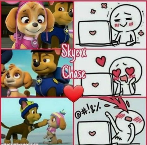 Sky X Chase Paw Patrol Fanart, Paw Patrol Zuma X Rocky, Skye X Chase Fanart, Paw Patrol Chase X Skye, Skye And Chase, Paw Patrol Videos, Chase X Skye, Sky Paw Patrol, Paw Patrol The Movie