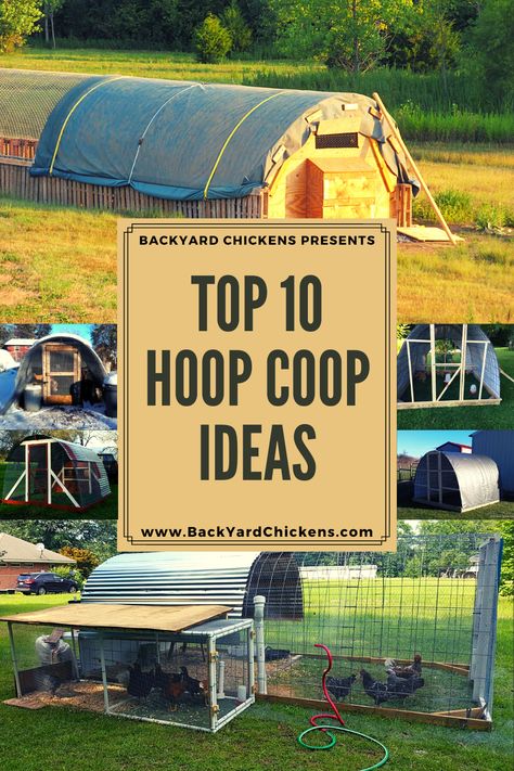 Chicken Coop With Hoop Run, Circular Chicken Coop, Hoop House For Chickens, Hoop House Chicken Run, Diy Hoop Chicken Coop, Hoop Coop With Nesting Boxes, Alternative Chicken Coop Ideas, Hoop Chicken Run, Large Diy Chicken Coop