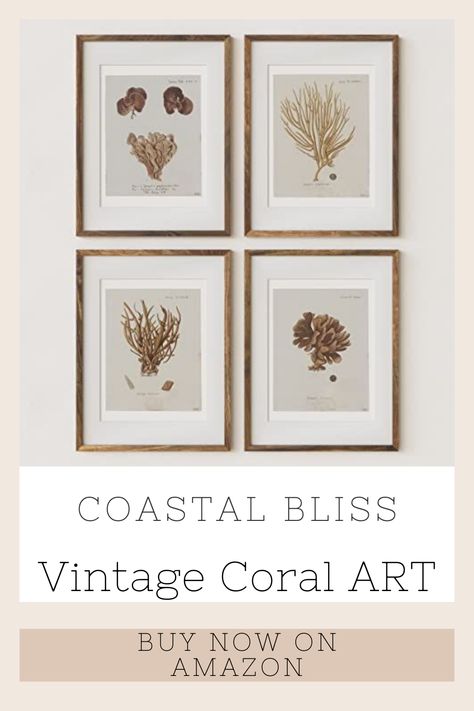 ⭐4.5 Stars (40 ratings) 🔹Size 8x10in 🔹Statement piece 🔹Set of 4 unframed prints Inspired by vintage coral reef studies, these prints are sourced directly from our extensive collection of antique textbooks accumulated over years of dedicated collecting. This collection of coral wall art is a perfect addition to your home decor, whether it's for the bathroom, living room, or bedroom. Ideal for housewarming gifts or to enhance the decor of your dorm room.#ad Antique Coastal, Coral Wall Art, Beach House Wall Decor, Coral Walls, Coastal Artwork, Antique Pictures, Coral Print, Coastal Bedroom, Minimalist Artwork