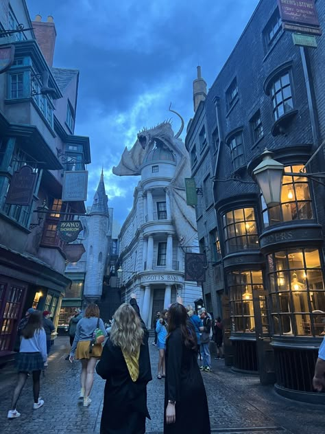 Harry Potter Park, Universal Studios Orlando Trip, Harry Potter Universal Studios, Buku Harry Potter, Orlando Travel, Christmas Memes, Hogwarts Aesthetic, Cultural Differences, Universal Studios Orlando