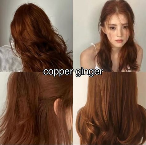 Cute Ginger Hair, Types Of Ginger Hair Color, Types Of Copper Hair, Copper Ginger, Autumn Red Hair, Brownish Orange Hair, Beige Skin, Hair Tint, Brown Hair Looks