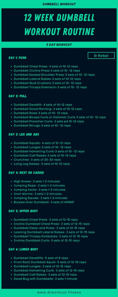 12 Week Dumbbell Workout Routine 12 Week At Home Workout Plan, Weekday Gym Workout Plans, 12 Week Exercise Plan For Women, 6 Week Weight Training Plan, Personal Training Workouts Fitness Plan, Quick Weight Workout, Dumbell Workout Week Plan, 4 Week Dumbbell Workout Plan, Ppl Workout Routine Dumbbell