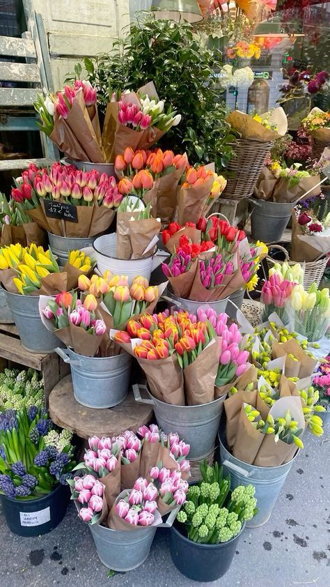 Flower Shop Wallpaper, Tulips Photography, Tulip Aesthetic, Flower Bouquet Aesthetic, Nature Photography Aesthetic, Flower Stall, Tulips Aesthetic, Tulips Bouquet, Summer Nature Photography