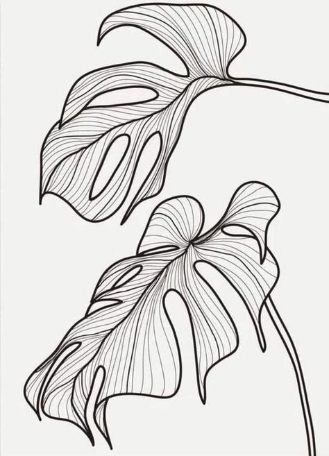 Flower Line Drawings, Line Drawing, Portfolio, Drawings, Flowers