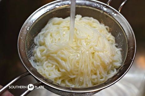 How to Cook with Shirataki Noodles (Zero Carb, Diabetic Friendly) - Southern Plate Pasta Zero, Low Carb Tips, Wheat Belly Recipes, Shirataki Noodles, Southern Plate, Counting Carbs, Homemade Spaghetti Sauce, Macaroni Recipes, Eating Keto