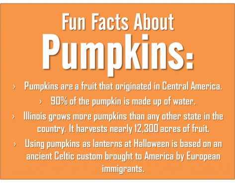 26 Halloween Facts 4h Presentation Ideas, Halloween Fun Facts, Pumpkin Facts, Fall Videos, Massage School, Fall Coloring Sheets, Fall Festival Games, Facts About Halloween, Aesthetic Scenery