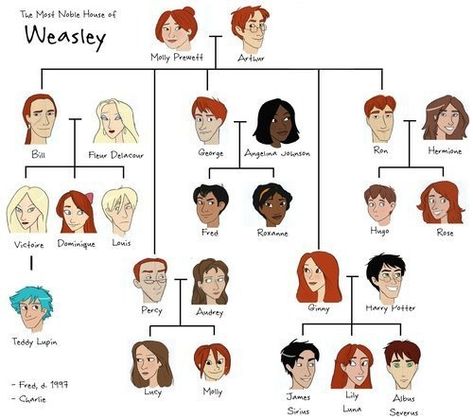 The illustrated Weasley family tree - Imgur Weasley Family Tree, Harry Potter Family Tree, Meme Harry Potter, Scorpius And Rose, Albus Severus Potter, Citate Harry Potter, Stile Harry Potter, Harry Potter Next Generation, Weasley Family