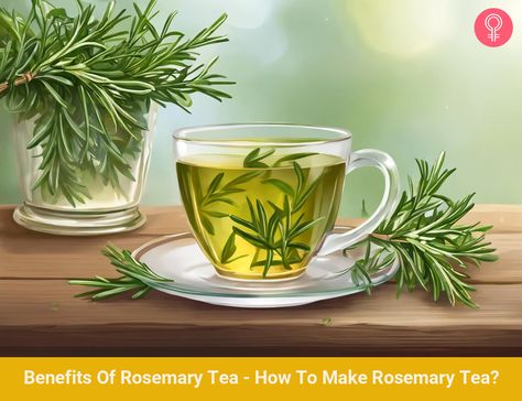 Benefits Of Rosemary Tea - How To Make Rosemary Tea? Benefits Of Rosemary Tea, Rosemary Plant Benefits, Rosemary Tea Benefits, Tea Benefits Chart, Spearmint Tea Benefits, Teas And Their Benefits, Herbal Properties, Benefits Of Rosemary, Evergreen Herbs