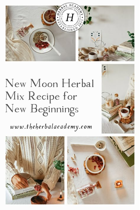 New Moon Herbal Mix Recipe for New Beginnings | Herbal Academy | This article will discuss the energy of the New Moon and how to support yourself with herbs during this internal time in the lunar cycle. Beginning Herbalism, Moon Food, Time For New Beginnings, New Moon Ritual, New Moon Phase, Herbal Academy, Moon Milk, Botanics Skin Care, Lunar Magic