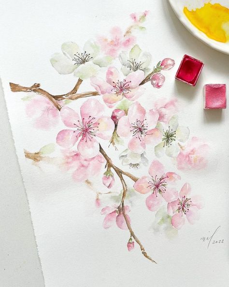 Cherry Blossom Tutorial, Cherry Blossom Painting Acrylic, Pictures Of Spring Flowers, Cherry Blossom Drawing, Cherry Blossom Watercolor, Japanese Cherry Tree, Cherry Blooms, Tree Watercolor Painting, Cherry Blossom Painting