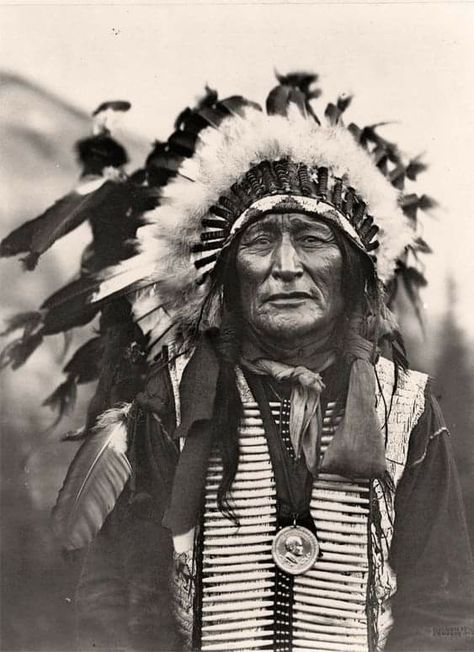 American Indian History, Native American Images, Native American Warrior, Native American Chief, Native American Men, Native American Pictures, Native American Quotes, Wilde Westen, Native American Artwork