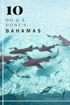 Where To Stay In Nassau Bahamas, Outfit Ideas For Bahamas, Bimini Bahamas Outfits, Nassau Bahamas Outfit, Bahama Outfits Ideas, Outfits For The Bahamas, Sailing Bahamas, Bahamas Cruise Outfits, Bahamas Beaches