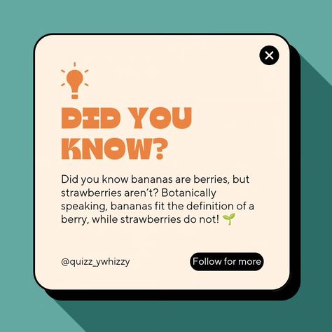 🍌🍓 Trivia Time! 🍓🍌 Fruit facts are so cool! Stay tuned for more surprising trivia and quizzes with us at Quizzles! 🔔 Follow us and turn on notifications for your daily dose of trivia and fun! #Quizzles #TriviaTime #FunFacts #LearnSomethingNew #DidYouKnow #JoinTheFun #game #quiz #instagram #fun #TriviaFun #trivia #gk #facts #education Mindblowing right? Trivia Social Media Post, Quiz Social Media Design, Educational Content For Instagram, Trivia Design, Fun Fact Design, Design Quiz, Hampton Homes, Quotes Template, Igs Ideas