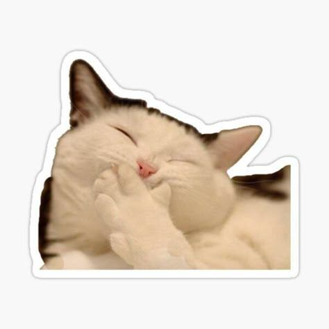 Sticker Emoji, Emoji Ideas, Weird Stickers, Funny Laptop Stickers, Emoji Stickers Iphone, Sticker Design Inspiration, Laughing Cat, Cute Laptop Stickers, Stickers Cool