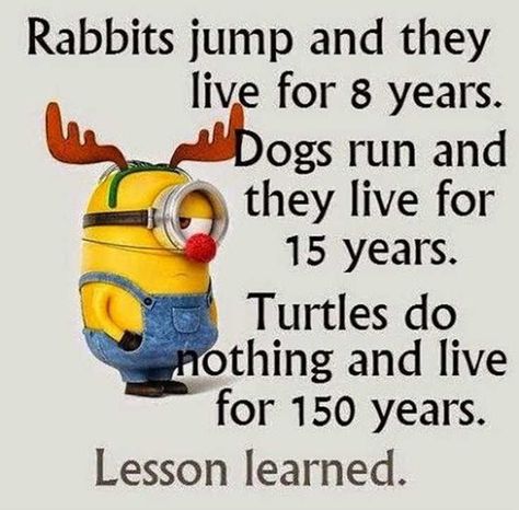 Funny Minion Pictures, Funny Minion Memes, Minion Pictures, Minion Jokes, A Minion, Minion Quotes, Funny Minion Quotes, Minions Quotes, Funny Picture Quotes