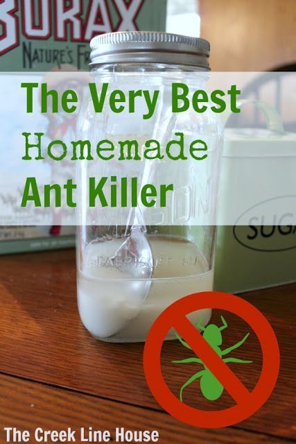 The best homemade DIY ant killer that gets rid of ants for good! Swiffer Covers, Ant Killer Recipe, Homemade Ant Killer, Rid Of Ants, Get Rid Of Ants, Ant Killer, Cleaning Tips Tricks, Diy Cleaners, Cleaners Homemade