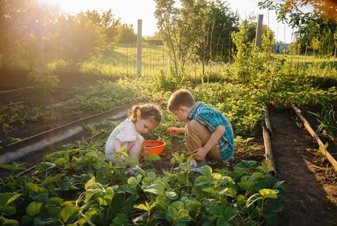 Family In Garden, Babysitting Aesthetic, Garden Farming, Waldorf Kids, Gardening With Kids, Children Garden, Creative Art Activities, Kids Gardening, Planting For Kids