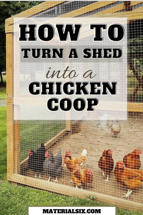 How to Turn a Shed into a Chicken Coop (Follow these 7 Steps) Coop And Run Ideas, Chicken Nesting Box Ideas, Chicken Coop And Run Ideas, Chicken Coop Toys, Nesting Box Ideas, Chicken Coop Shed, Cheap Chicken Coop, Chicken Coop Designs Diy, Easy Diy Chicken Coop