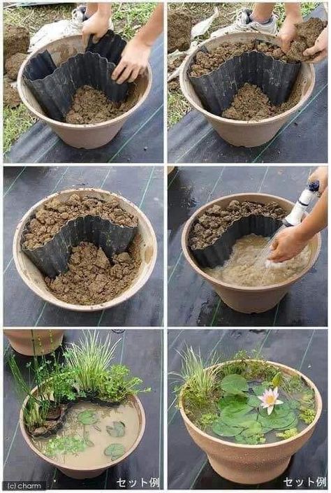 DIY Garden &  Home Deco | Creative Container Pond Ideas | Facebook Mini Jardin Zen, Miniature Garden Design, Container Pond, Room Flowers, Container Water Gardens, Trendy Plants, Creation Station, Backyard Landscape, Flower Pot Garden