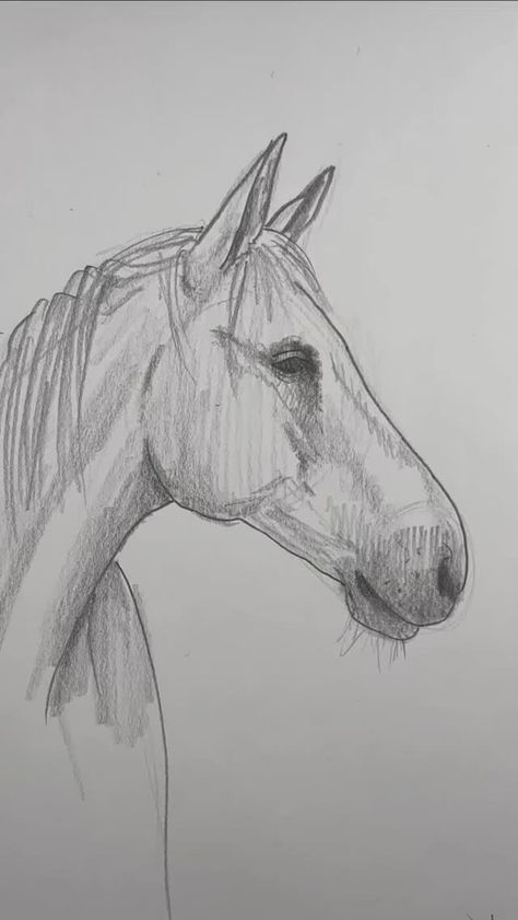 Mark Liam Smith (@markliamsmith) on Threads Horse Easy Drawing, Western Sketches, Easy Horse Drawing, Draw A Horse, Trippy Drawings, Horse Sketch, Sketch It, Quick Sketches, American Saddlebred