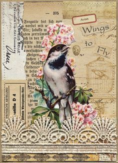 Related image Nick Bantock, Ephemera Ideas, Altered Cards, Art Altéré, Vintage Journals, Embellishments Diy, Creative Collage, Istoria Artei, Collage Book