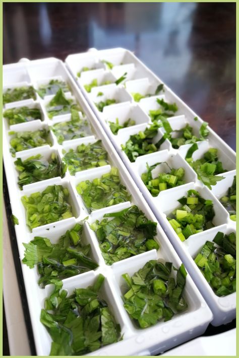 Freezing Cilantro How To, How To Keep Cilantro Fresh In Fridge, Can You Freeze Cilantro, How To Keep Cilantro Fresh Longer, Preserve Cilantro, How To Make Cilantro Last Longer, Freeze Cilantro, Herbs For Inflammation, Freezing Cilantro