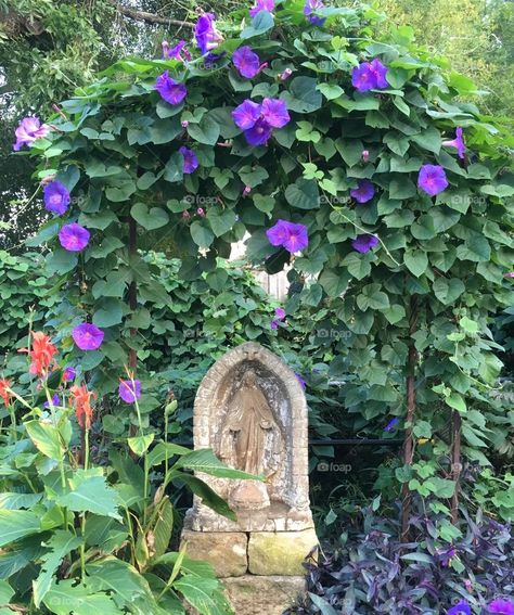 Backyard Mary Grotto, Garden Virgin Mary, Garden Shrine Ideas, Garden Grotto Virgin Mary, Virgin Mary Garden Shrine, Mary Grotto Garden, Backyard Shrine, Mary Garden Catholic, Garden Alter